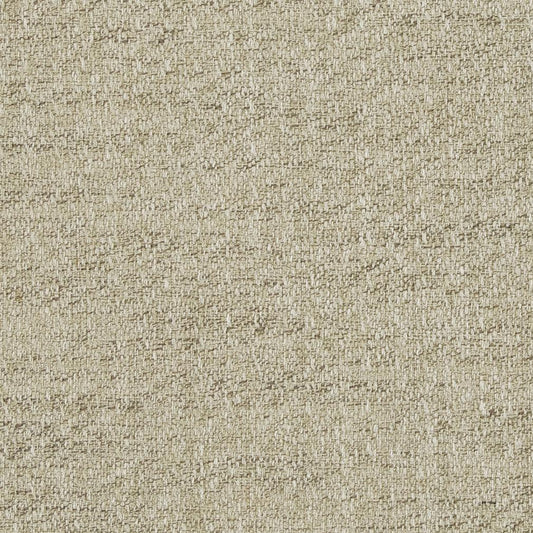 D846 Plain & Solid Desert Grey & Silver Charlotte Fabrics