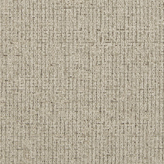 D849 Plain & Solid Sandstone Grey & Silver Charlotte Fabrics