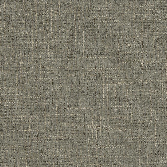 D850 Plain & Solid Pebble Grey & Silver Charlotte Fabrics