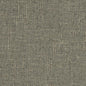 D850 Plain & Solid Pebble Grey & Silver Charlotte Fabrics