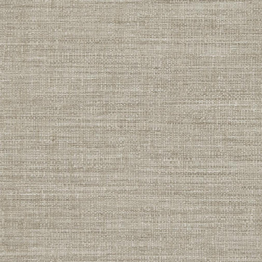 D854 Plain & Solid Heather Grey & Silver Charlotte Fabrics