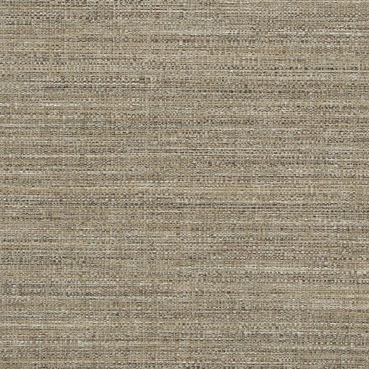 D860 Plain & Solid Dune Brown Charlotte Fabrics