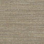 D860 Plain & Solid Dune Brown Charlotte Fabrics
