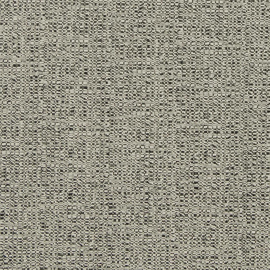 D867 Plain & Solid Ash Grey & Silver Charlotte Fabrics