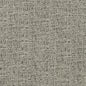 D867 Plain & Solid Ash Grey & Silver Charlotte Fabrics