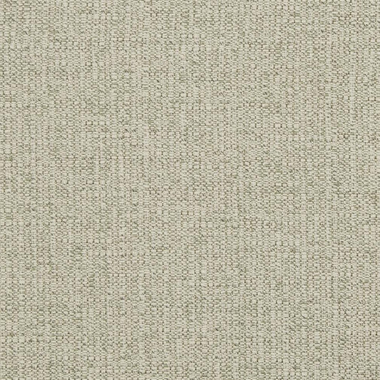 D869 Plain & Solid Sage Grey & Silver Charlotte Fabrics