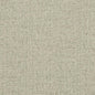 D869 Plain & Solid Sage Grey & Silver Charlotte Fabrics