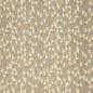 D891 Abstract & Geometric,Small Scale Epic/Canvas Beige & Taupe Charlotte Fabrics