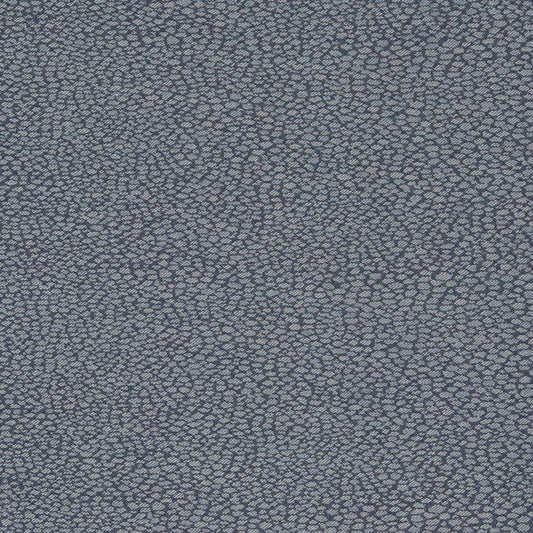 D897 Small Scale Pebble/Navy Blue Charlotte Fabrics