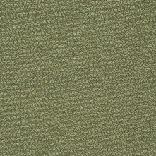 D898 Small Scale Pebble/Sage Green Charlotte Fabrics