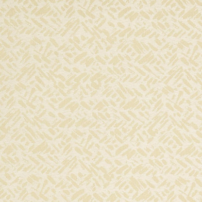 D910 Abstract & Geometric,Small Scale Rice/Buff White & Ivory Charlotte Fabrics