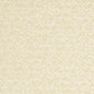 D910 Abstract & Geometric,Small Scale Rice/Buff White & Ivory Charlotte Fabrics