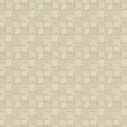 D923 Abstract & Geometric,Small Scale Squares/Canvas Beige & Taupe Charlotte Fabrics
