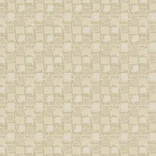 D923 Abstract & Geometric,Small Scale Squares/Canvas Beige & Taupe Charlotte Fabrics