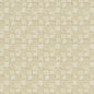 D923 Abstract & Geometric,Small Scale Squares/Canvas Beige & Taupe Charlotte Fabrics