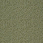 D934 Abstract & Geometric Squiggles/Sage Green Charlotte Fabrics