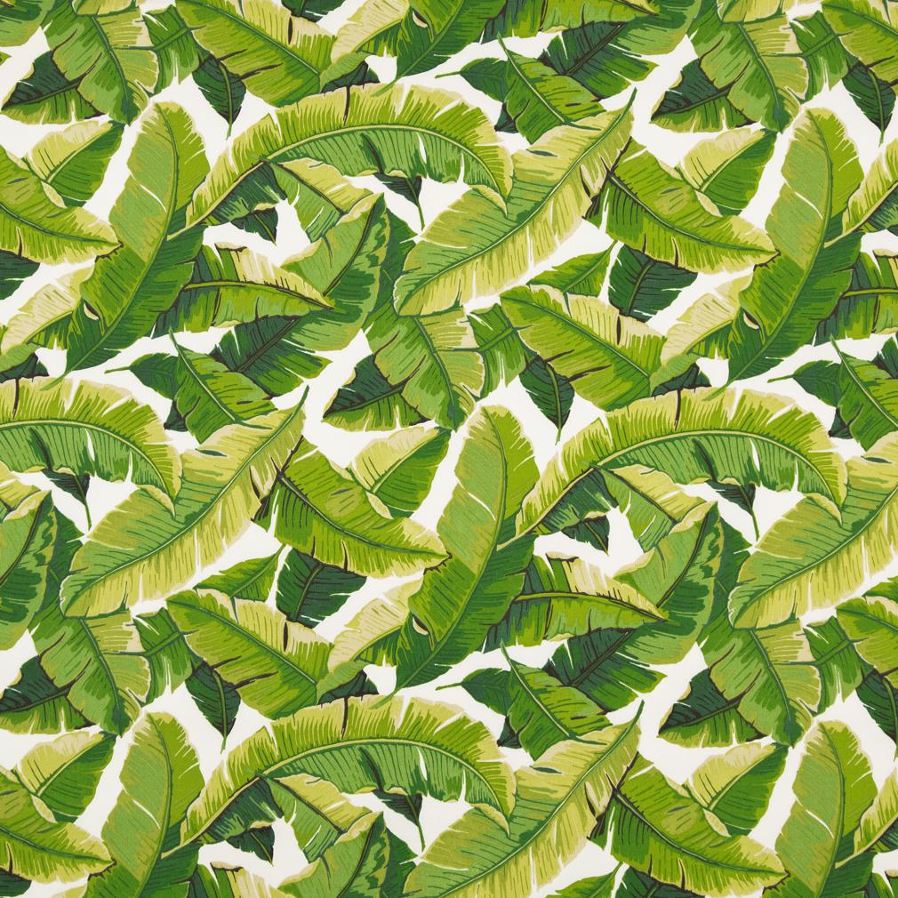 D948 Leaves,Tropical & Botanical Palm Green Charlotte Fabrics