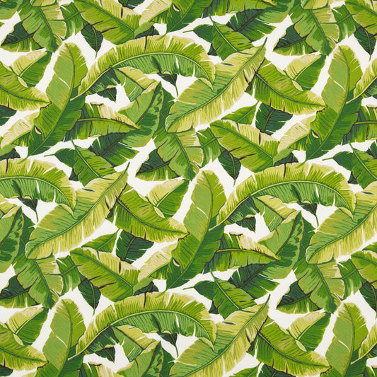 D948 Leaves,Tropical & Botanical Palm Green Charlotte Fabrics