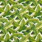 D948 Leaves,Tropical & Botanical Palm Green Charlotte Fabrics