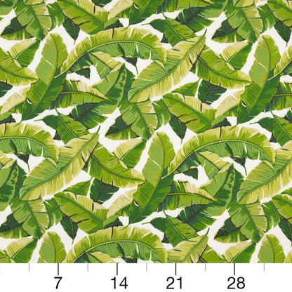 D948 Leaves,Tropical & Botanical Palm Green Charlotte Fabrics