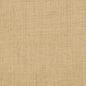 D958 Plain & Solid Birch Beige & Taupe Charlotte Fabrics