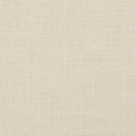 D976 Plain & Solid Vanilla White & Ivory Charlotte Fabrics
