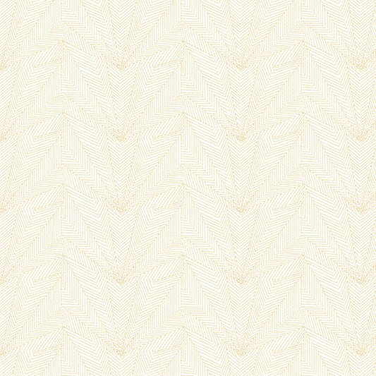 DAPH-1 STOUT DAPHNE 1 SANDUNE SANDUNE MULTIPURPOSE