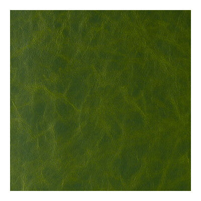 DAYTRIPPER-3 DAYTRIPPER JUNGLE LOVE KRAVET CONTRACT UPHOLSTERY