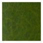 DAYTRIPPER-3 DAYTRIPPER JUNGLE LOVE KRAVET CONTRACT UPHOLSTERY