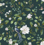 DB20814 Daisy Bennett Designs Daisy Bennett Peel and Stick Wallpaper Chinoiserie Bird Vine Teal
