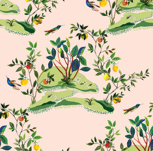 DBW9004 Daisy Bennett Designs West Boulevard Collection Wallpaper Citrus Hummingbird Blush
