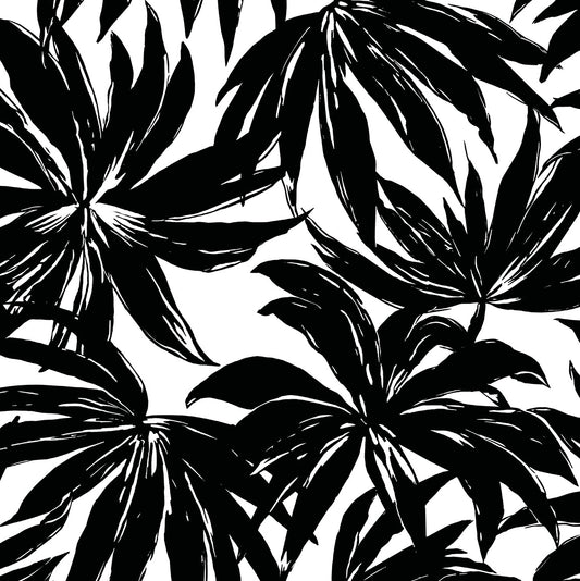 DBW9111 Daisy Bennett Designs West Boulevard Collection Wallpaper Palma Black