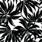 DBW9111 Daisy Bennett Designs West Boulevard Collection Wallpaper Palma Black
