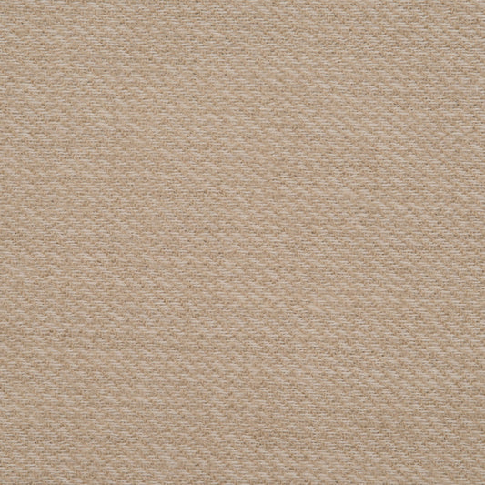 DG-10302-008 JACK RABBIT CAMEL DONGHIA
