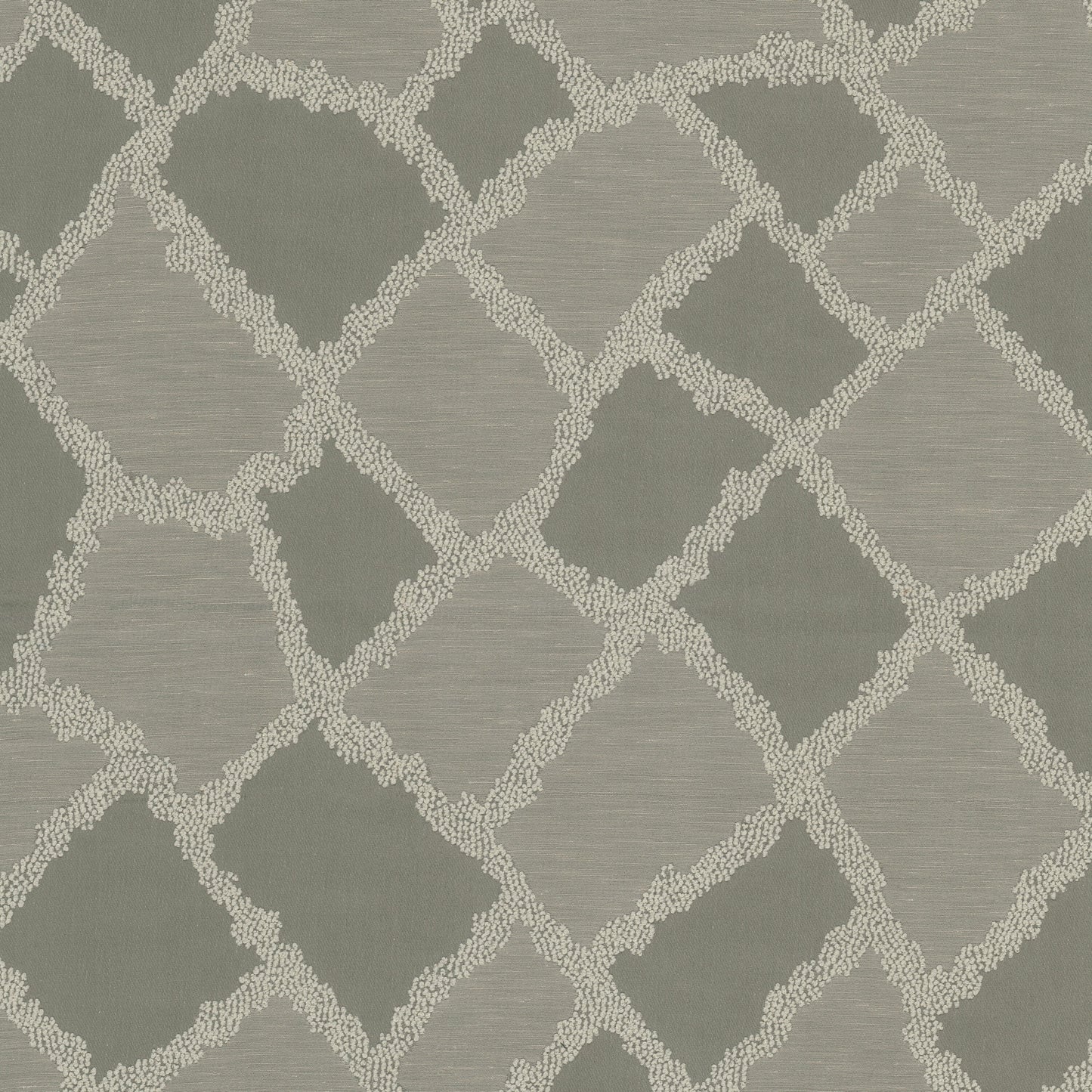 DICHONDRA Stout Multi-Purpose