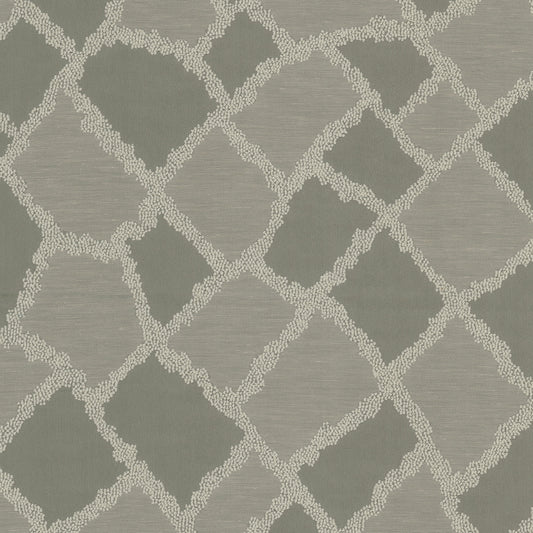 DICHONDRA Stout Multi-Purpose