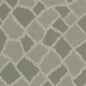 DICHONDRA Stout Multi-Purpose