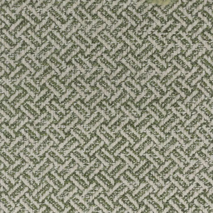 DIVE-1 STOUT DIVERSION 1 CLOVER CLOVER UPHOLSTERY