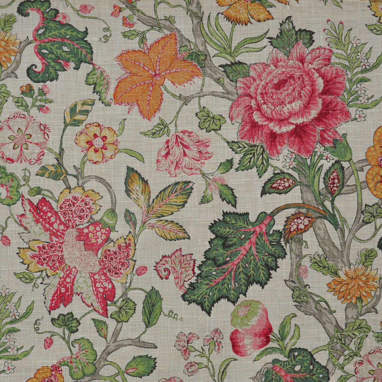 DM9509 Maxwell PRINTS # 509 RASPBERRY PRINTGALLERY