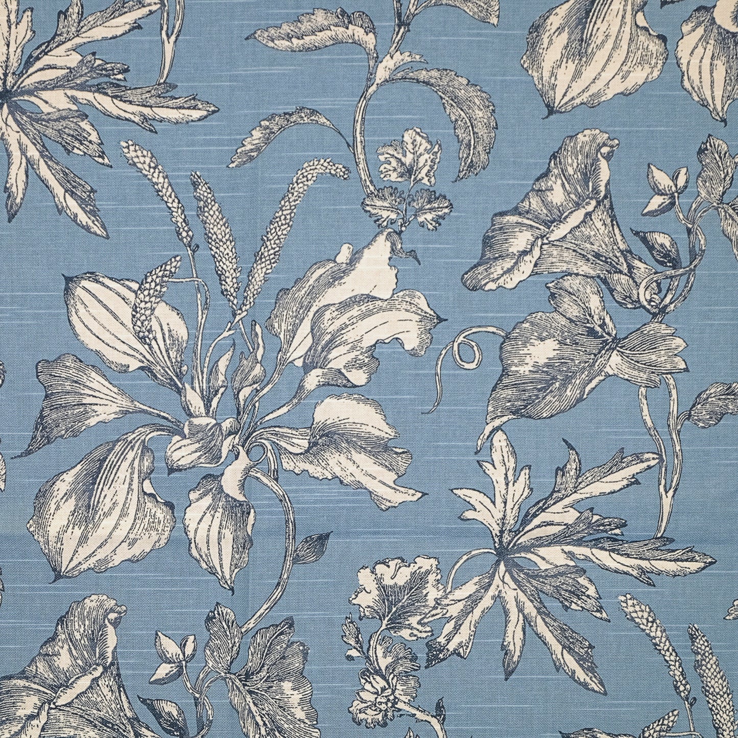 DO5528 Maxwell PRINTS # 528 FRENCH BLUE PRINTGALLERYII