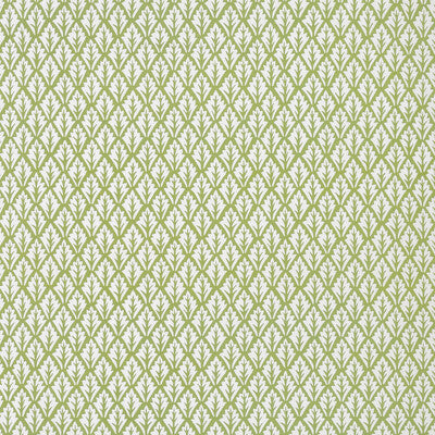 DORSO-23 DORSO OLIVE KRAVET BASICS Fabrics Drapery Upholstery