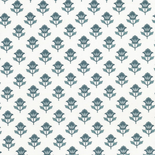 DREAM Stout Multi-Purpose