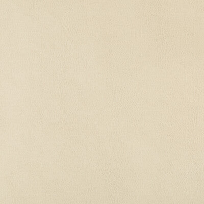 DUST-116 KRAVET DESIGN DUST-116 KRAVET DESIGN UPHOLSTERY