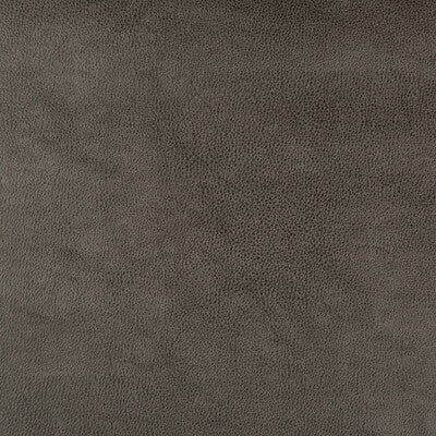 DUST-21 KRAVET DESIGN DUST-21 KRAVET DESIGN UPHOLSTERY