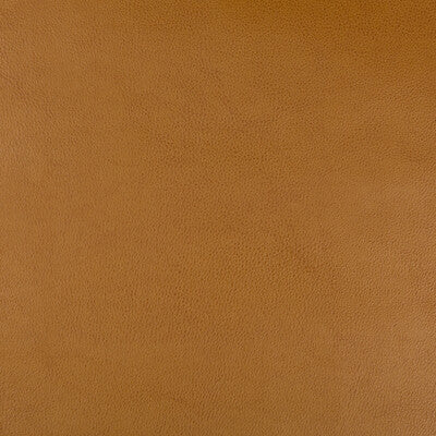 DUST-624 KRAVET DESIGN DUST-624 KRAVET DESIGN UPHOLSTERY