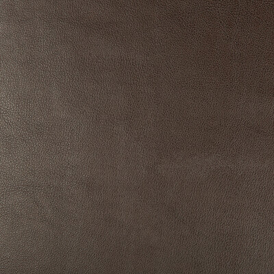 DUST-66 KRAVET DESIGN DUST-66 KRAVET DESIGN UPHOLSTERY