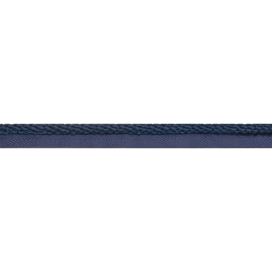 E12241 Thibaut Navy Fabric