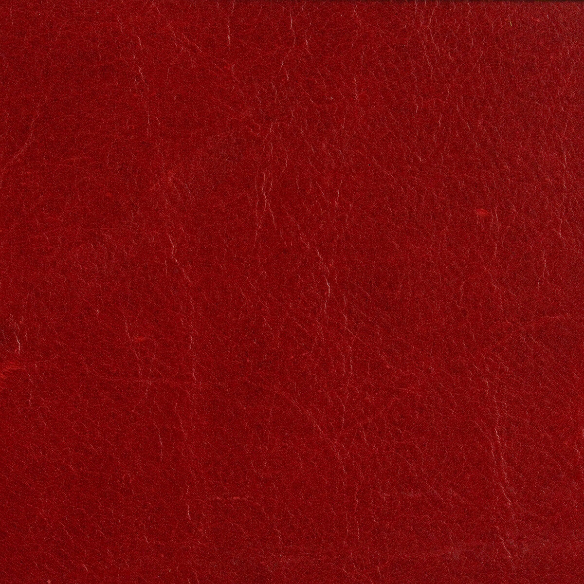 ED50015-474 CRAWFORD BERRY THREADS UPHOLSTERY