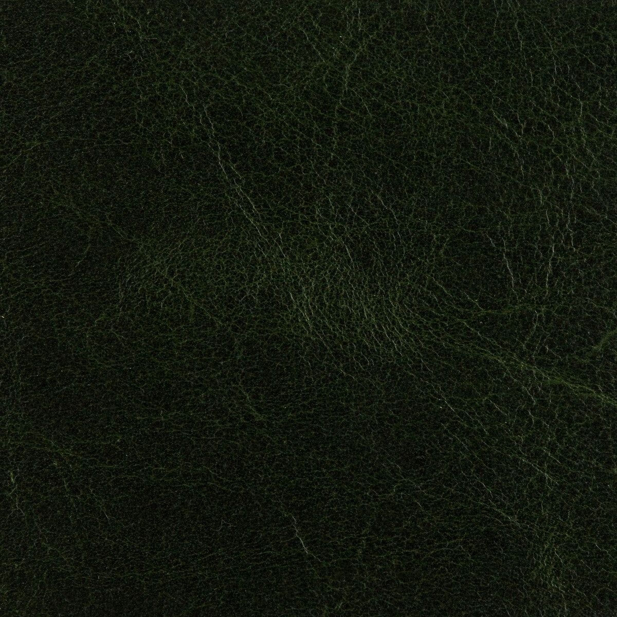 ED50015-794 CRAWFORD FOREST GREEN THREADS UPHOLSTERY