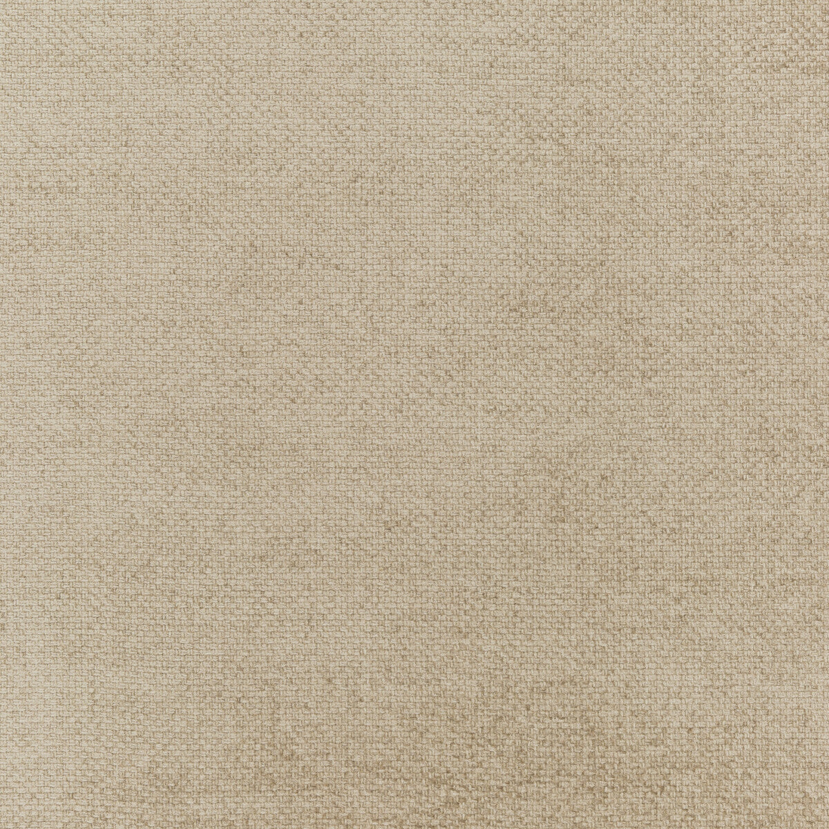 ED85251-170 CAMI CHAMPAGNE THREADS Fabrics Drapery Upholstery